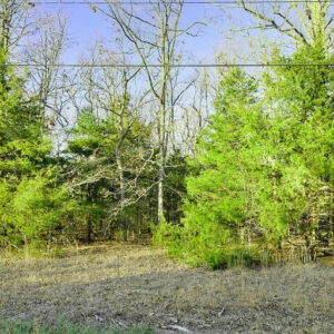 Izard County, AR