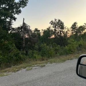 Graingram Dr, Briarcliff, Arkansas
