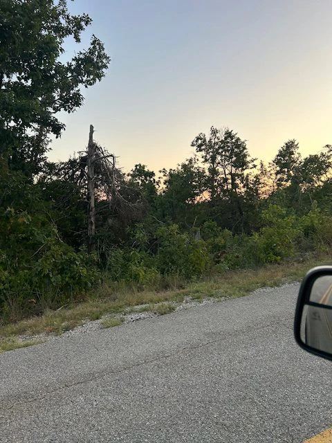 Graingram Dr, Briarcliff, Arkansas