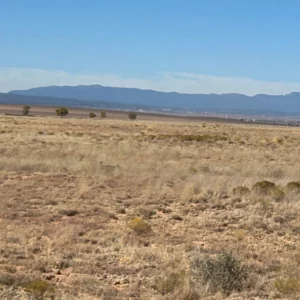 Ferro Rd SE/Rosial Rd SE, Sunshine Valley, NM