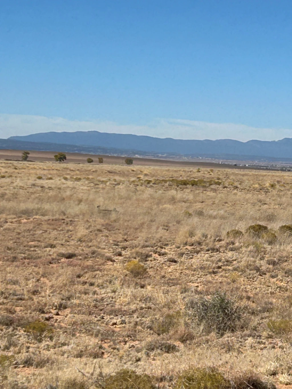 Ferro Rd SE/Rosial Rd SE, Sunshine Valley, NM