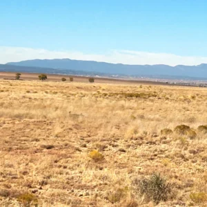 Hummingbird Ln/Blue Jay Rd SE, Deming, NM