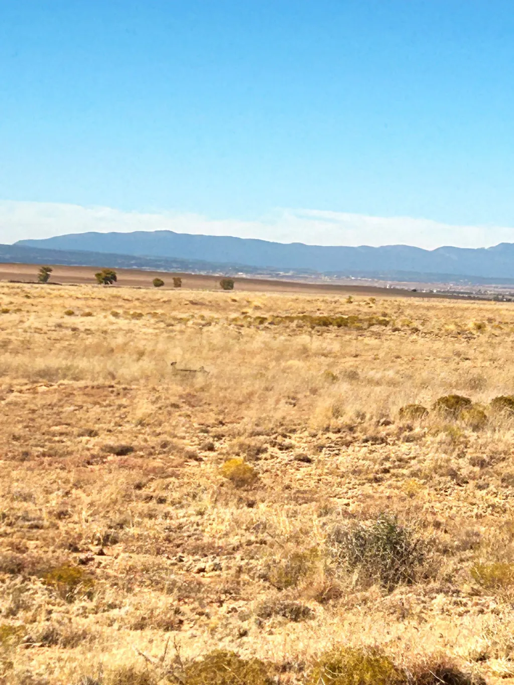 Hummingbird Ln/Blue Jay Rd SE, Deming, NM