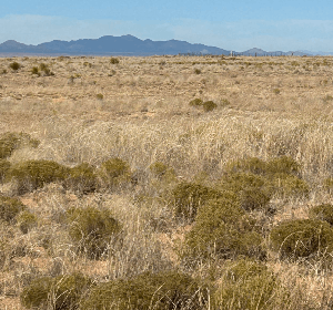Ranchos Encantados, Hermosa Ave, Torrance Co, NM