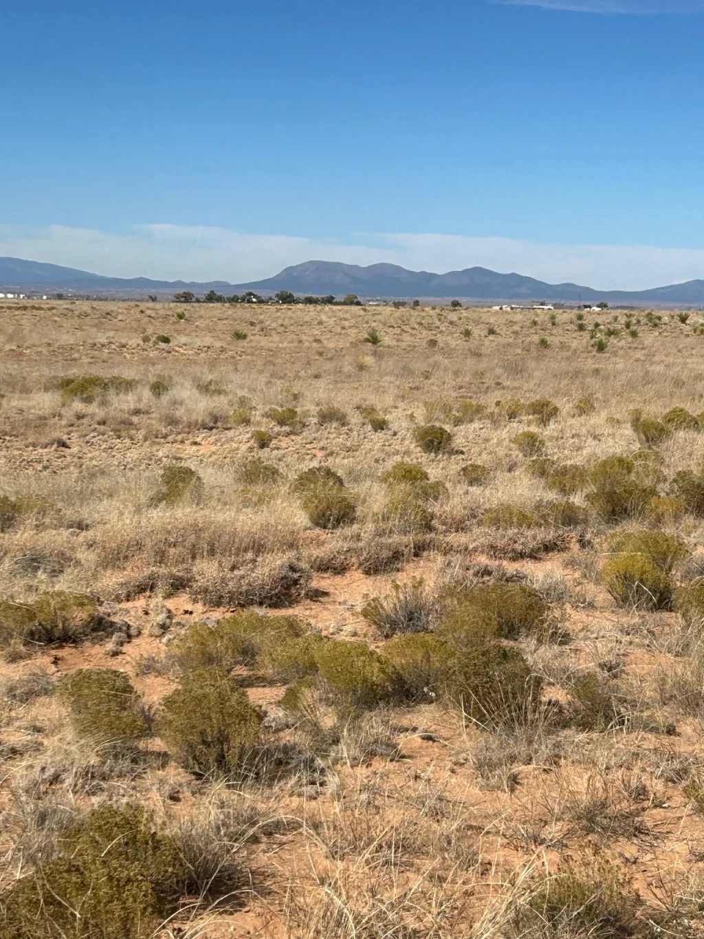 Ranchos Encantados, Palomas Ave, Torrance Co, NM