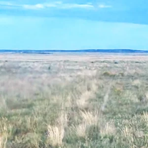 Ranchos Encantados, Palomas Ave, Torrance Co, NM