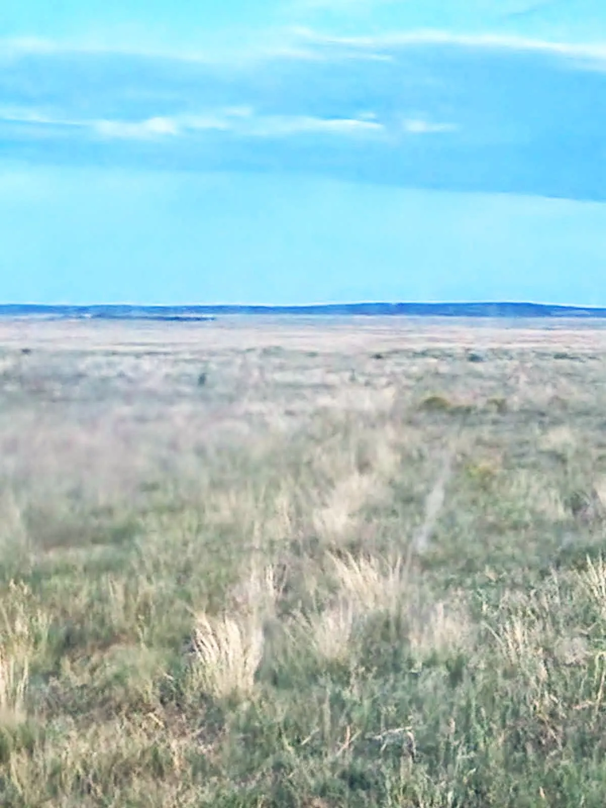 Ranchos Encantados, Palomas Ave, Torrance Co, NM