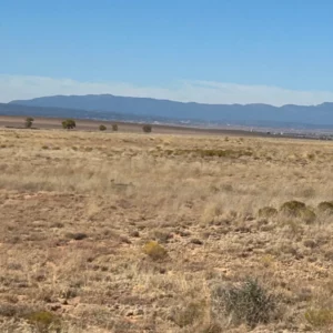 Rio Del Oro,La Entrada Rd, Valencia, NM