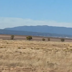 Rio Del Oro,La Entrada Rd, Valencia, NM