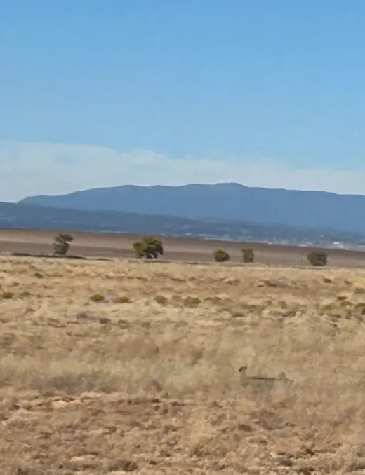 Rio Del Oro,La Entrada Rd, Valencia, NM