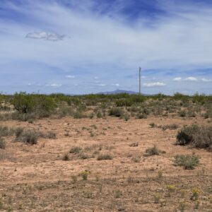 Rio Del Oro,