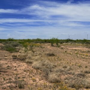 Rio Del Oro, Coving Ave/DeHaan Loop