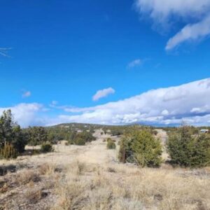 Estancia Ranchettes, Pecos Rd E & Cimmaron Rd S
