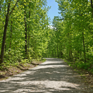 Izard County, AR